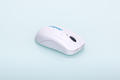 MOUSE CKM2W