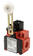 Limit switch