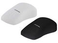 Mouse_TKH_IP68.tif