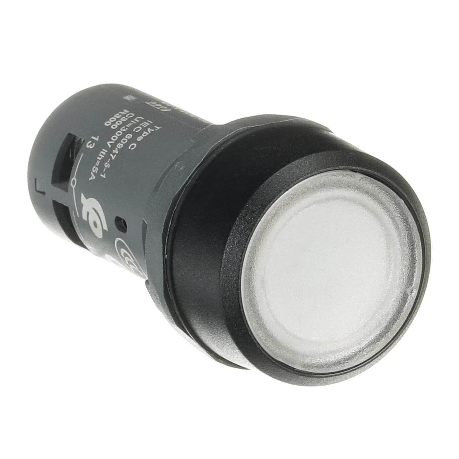 Przycisk biały podś.tif