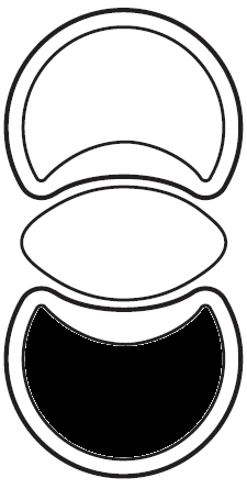 Sketch L61QH53.png